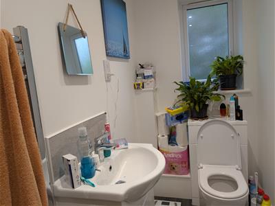 Picture 12